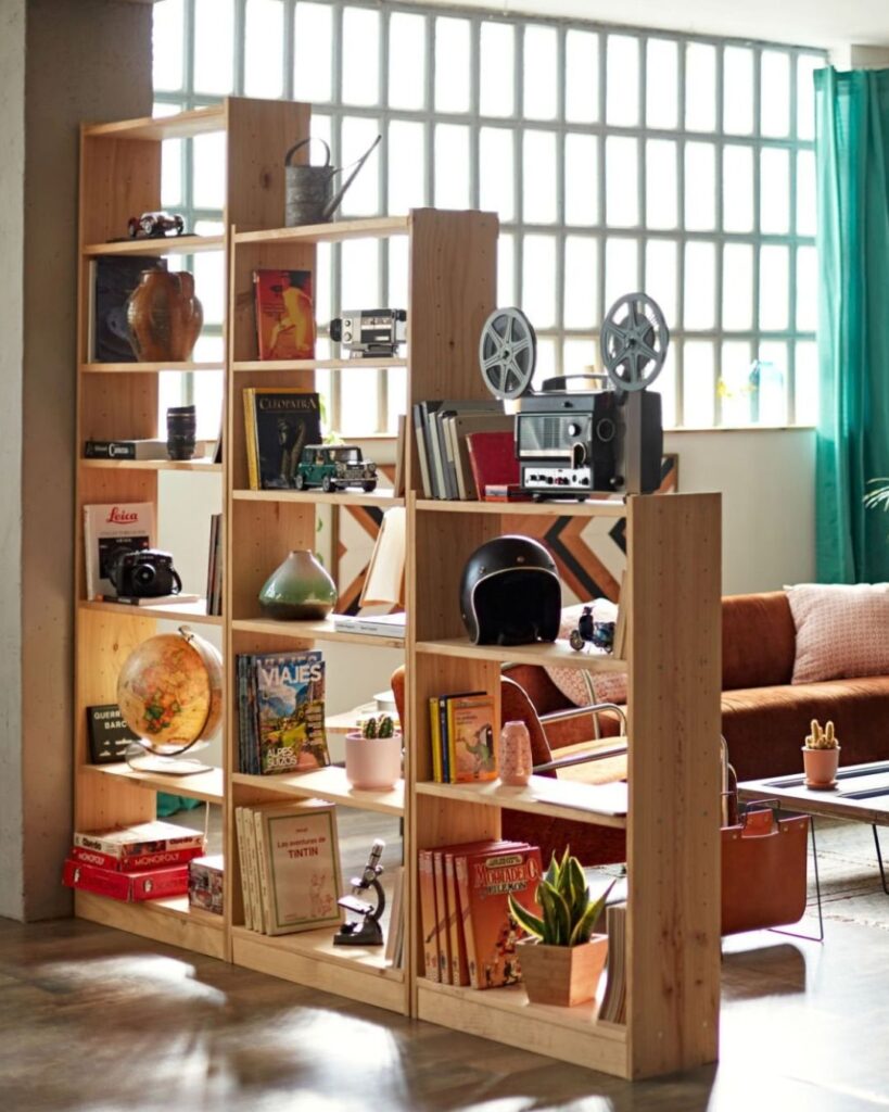 studio apartment bookshelf divider